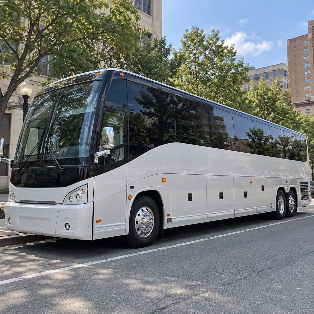youth sports team transportation in springfield ma